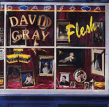 David Gray : Flesh